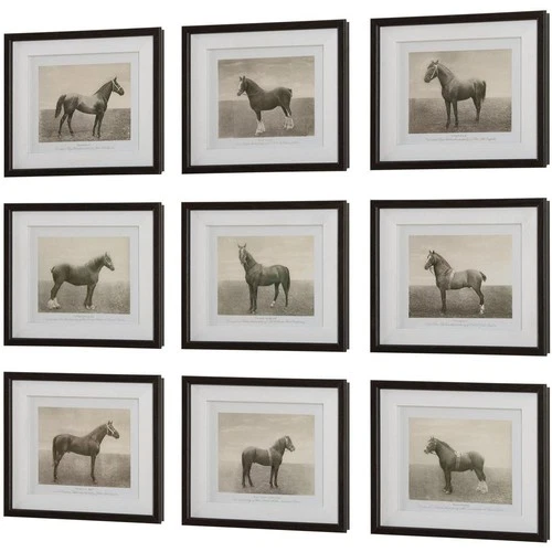 Uttermost 32343 Equine Dynasty 15.88 X 13.88 inch Framed Prints, Set of 9 - Picture 2 of 6