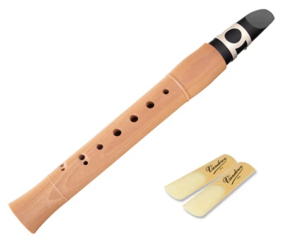 CLASSIC CANTABILE Geniales Taschensaxophon Mix aus Saxofon Klarinette & Holzflöte SET+ 2x Blätter!