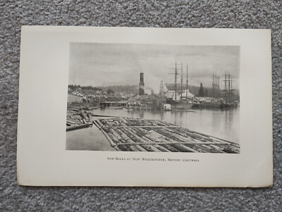 Sägewerke in New Westminster, British Columbia - antiker Druck - 1909