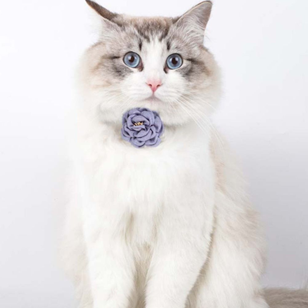 Puppy Cat Collar Adjustable Simulation Camellia Pet Collar Camellia Flower - Picture 9 of 15