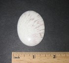 Picture 4 of 7