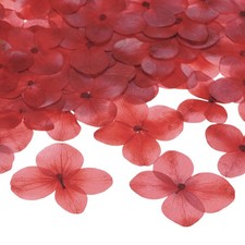 12-Pack Dried Pressed Flowers for Resin, Real Natural Bulk Dry Floral Red 