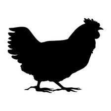 Chicken Hen Rooster Silhouette Decal Sticker Black Die Cut Vinyl