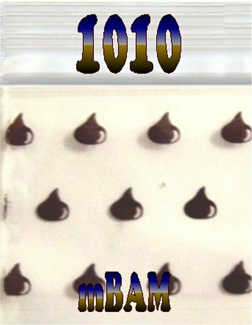 Foto 10 di 12