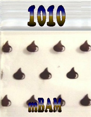 100 CONFEZIONI 1010 CAPPELLI MAGO MAGO Sacchetti Apple Zip 1.0X1.0" Mini POLISACCHI - Foto 10 di 12