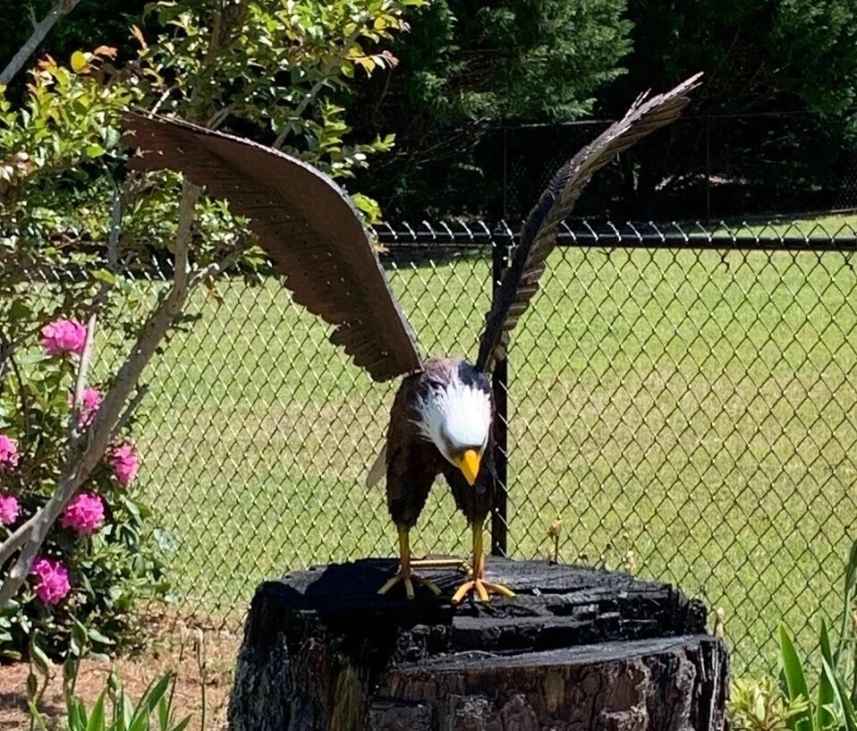 American Bald Eagle Large Outdoor Metal Statue Lawn Sculpture Garden Yard Art - Image 2 of 4