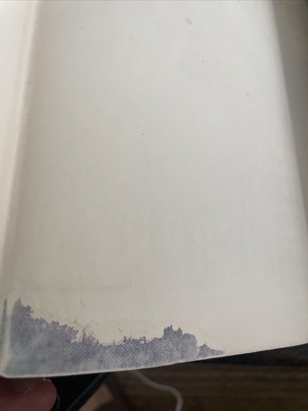 Picture 4 of 7