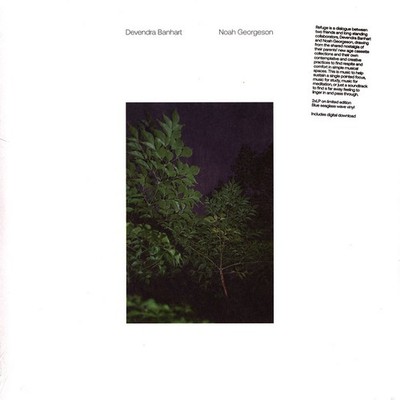 Devendra Banhart & Noah Georgeson - Refuge Seaglass Wave (2021 - US - Original)