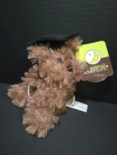 Brown Bear With Graduation Cap Animal Adventure 6" Stuffed Animal