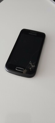 Samsung  Galaxy S III mini