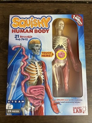 SmartLab Squishy Human Body - SL06428