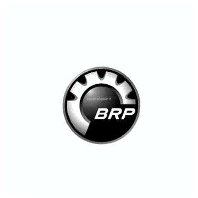 BRP-Logo-Aufkleber Evinrude Johnson BRP - 1 PC  - 352506