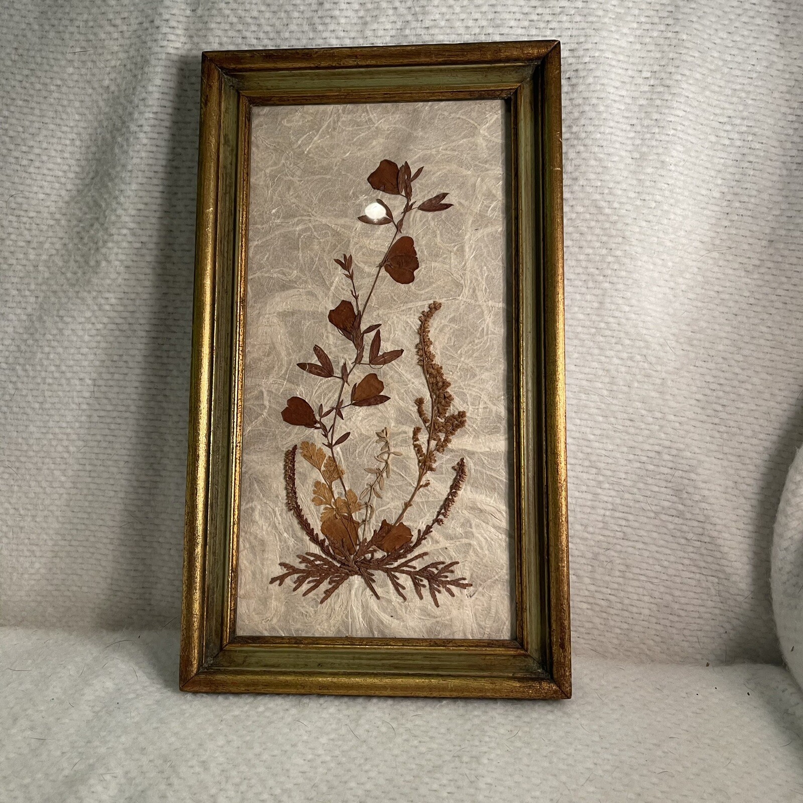 Big Dried Pressed Flower Wall Art Framed Made In Germany