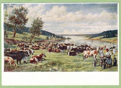 V.Yakovlev 1951 Russian postcard Landscape HERD OF COWS WORKING MILKMAIDS
