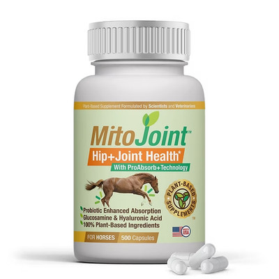 MitoJoint Equine Joint Supplement Horse Hip Joint Mobility Support Formula