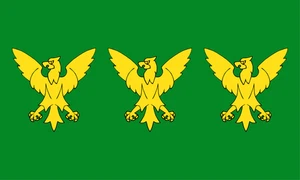 Caernarfonshire Flag Self Adhesive Vinyl Sticker