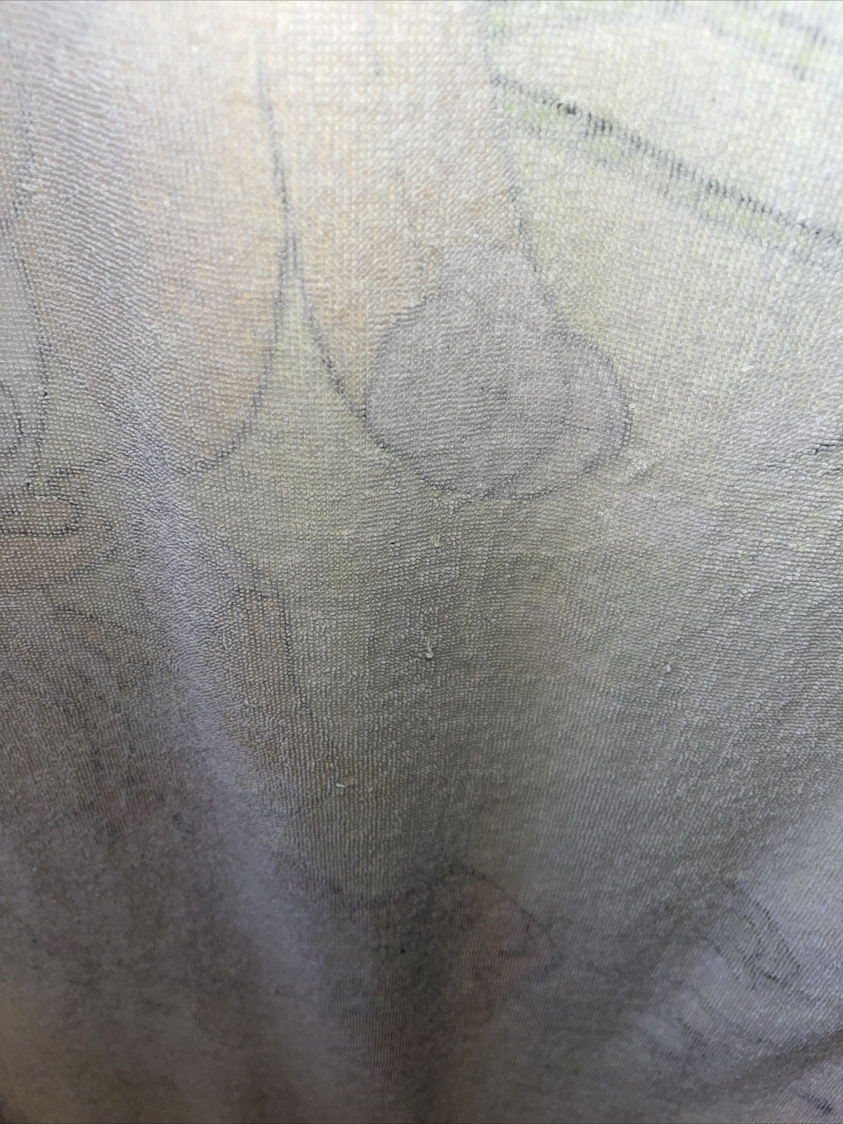 Picture 6 of 8