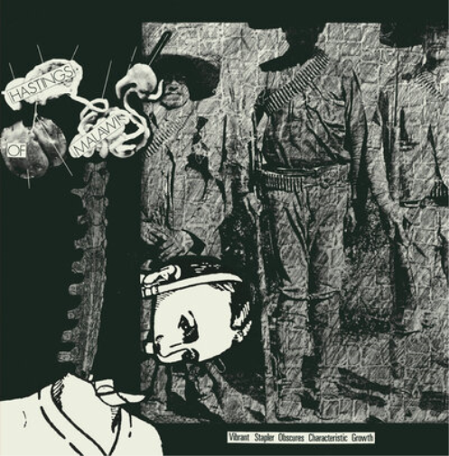 Hastings of Malawi Vibrant Stapler Obscures Characteristic Growth (CD) Album