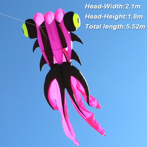 5m Large Adult Goldfish Kite Soft Inflatable Kite 30D Ripstop 6 colors Available - Picture 9 of 10