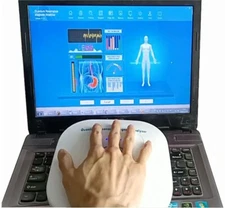 Hand touch portable micro quantum bioelectric human body analyzer