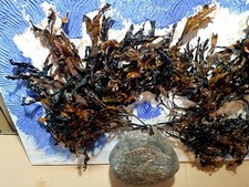 Quadro acrilico assemblaggio astratto - AMICI 40x60cm 