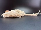 Foto 7 di 7