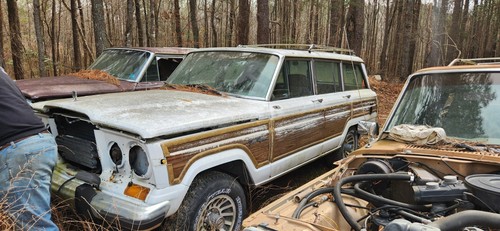 1989 Jeep Wagoneer 