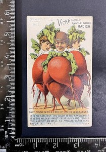 VICK’S EARLY SCARLET GLOBE RADISH TRADE CARD