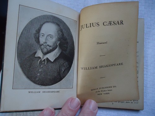 Shakespeare 9 Volumes Vintage Hardcover Mckay Publishing New York  - Picture 4 of 10