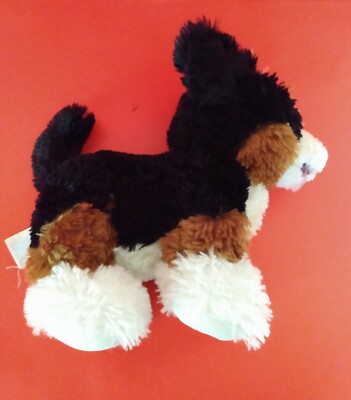 bernese mountain dog teddy