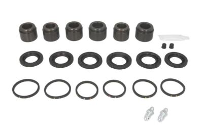 Disc brake caliper repair kit AUTOFREN SEINSA D42431C