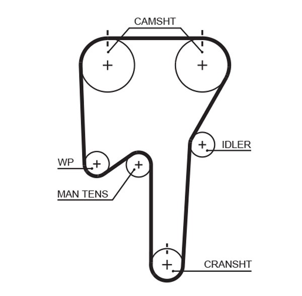 GATES-OE 5553XS Timing Belt for VOLVO