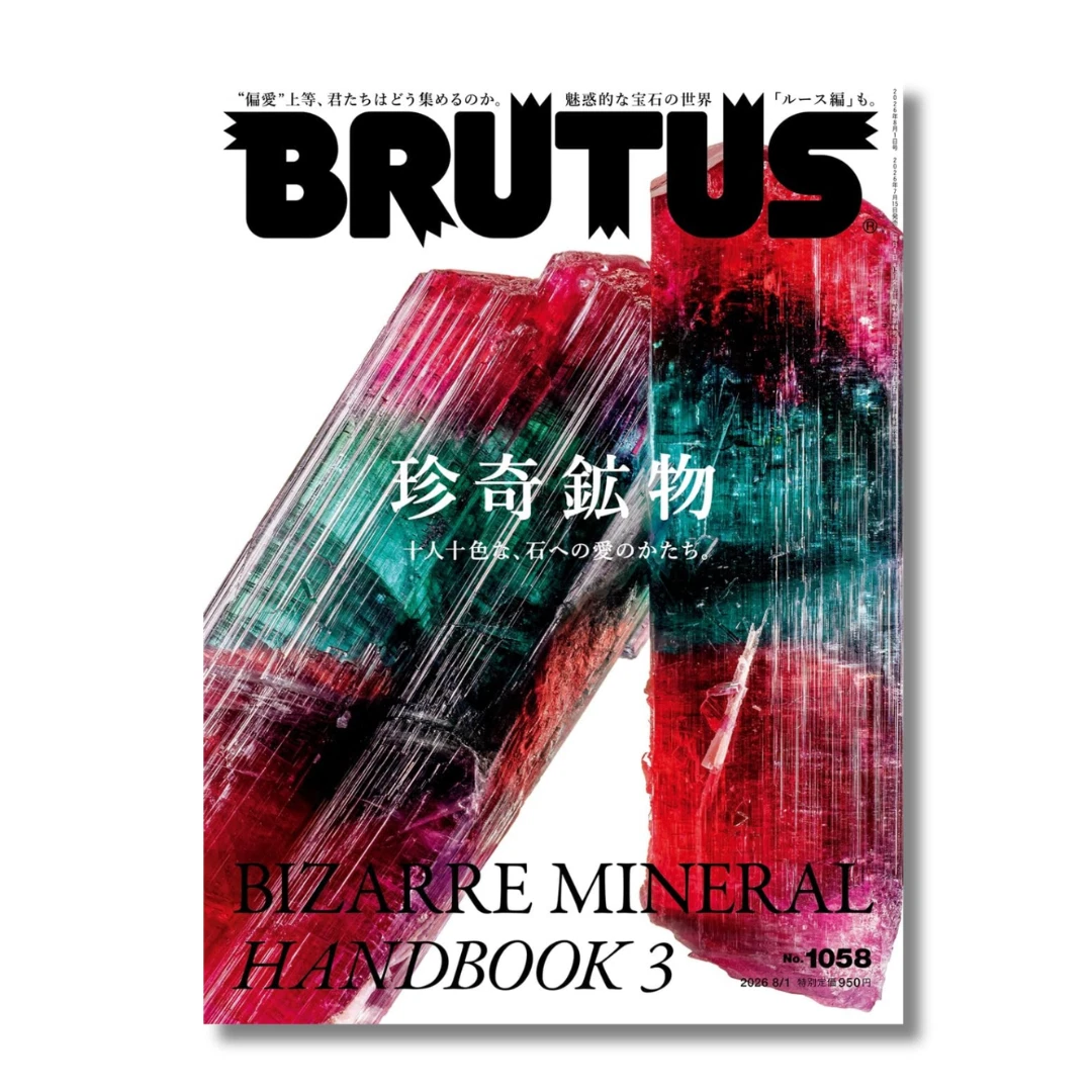 25+ Biweekly Magazines in Japanese for sale | Updated Oct 2026