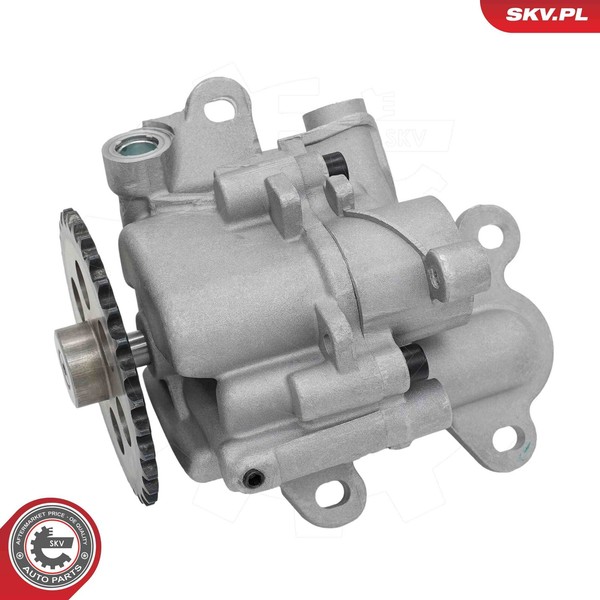 Esen Skv 77SKV040 ÖLpumpe FüR CitroËN Ford Land Rover Peugeot-image