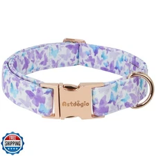 Astdogio Elegant Butterfly Dog Collar, Purple Blue Gradient Design Collars fo