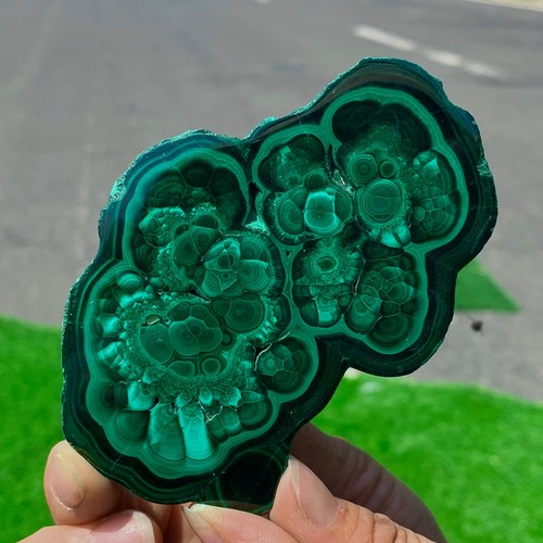 198G Natural glossy Malachite transparent cluster rough mineral sample - Bild 10 von 23