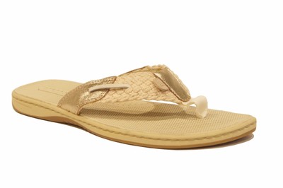 sperry parrotfish sandal
