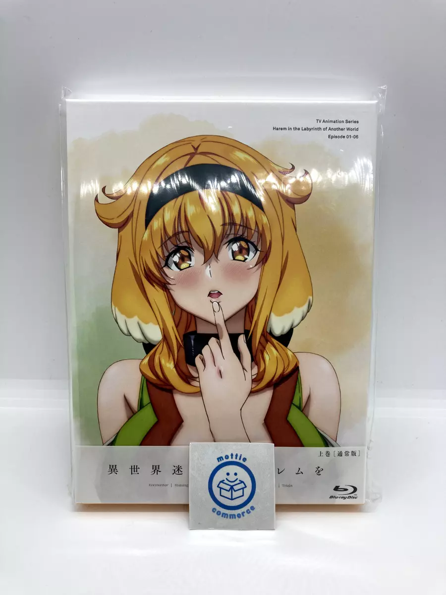 Harem in the Labyrinth of Another World TV Anime's BD/DVD Boxes to