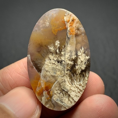 Natural Plume Agate 34x21x6.5mm High Quality Cabochon 39.5 ct - Picture 7 of 7