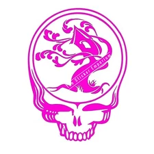 Tree House Brewing Co. Stealie Sticker Decal Craft Beer Can Brewery Pink