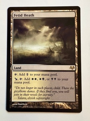 Fetid Heath R Eventide 176 - Magic the Gathering TCG