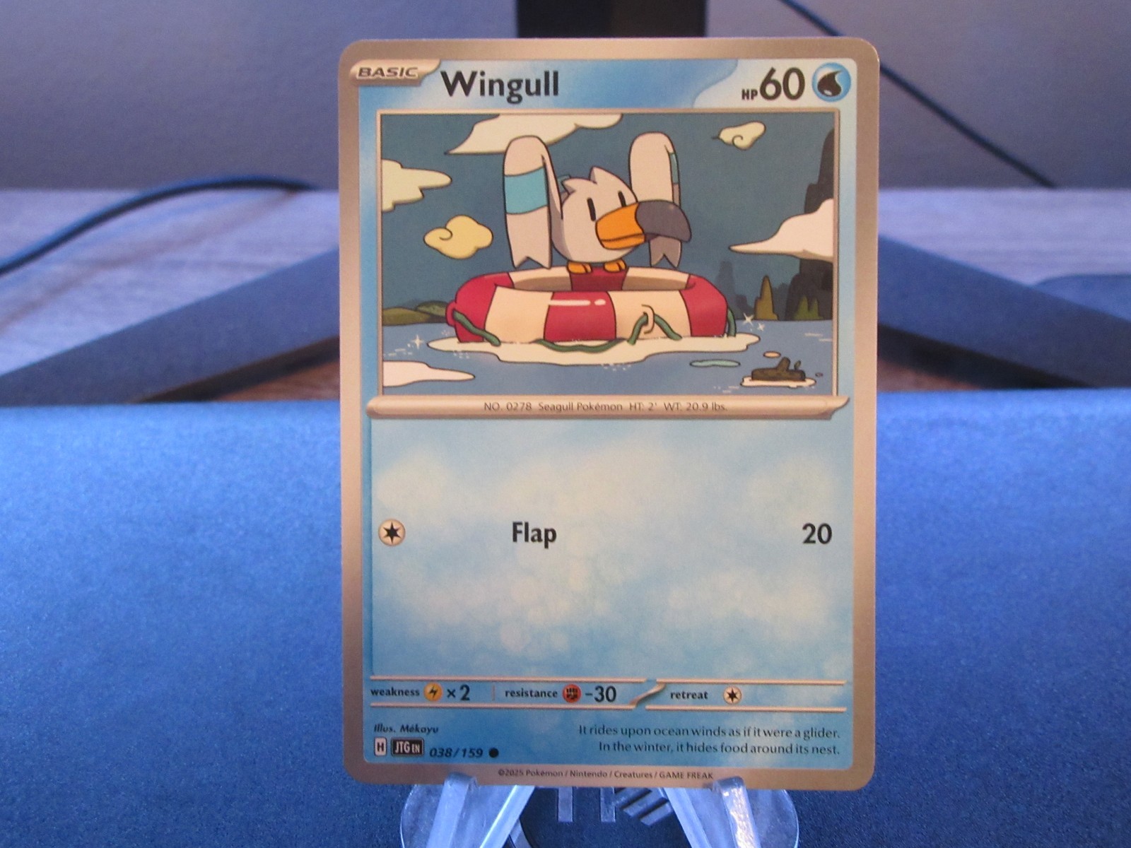Pokemon TCG Card Wingull 038/159 - Common - NM