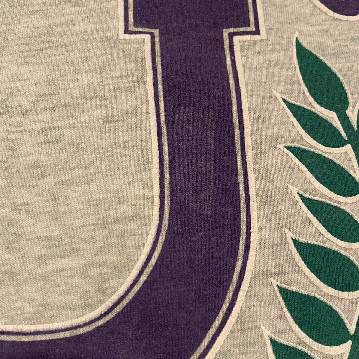 Vintage Intercourse Pennsylvania Graphic T Shirt Intercourse University 90’s USA View 3