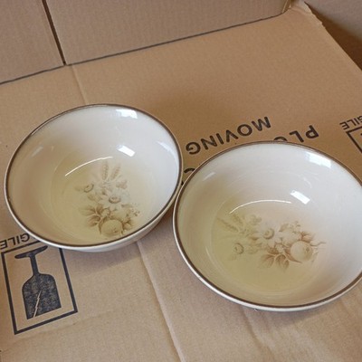2xVintage Denby Memories Müsli Obst Suppe Servierschale ca. D 16 cm Floral