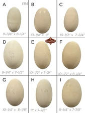 9 Empty VTG 9-12” XL Blown Goose Eggs Blown White Shell Pysanky Butterk Two Hole