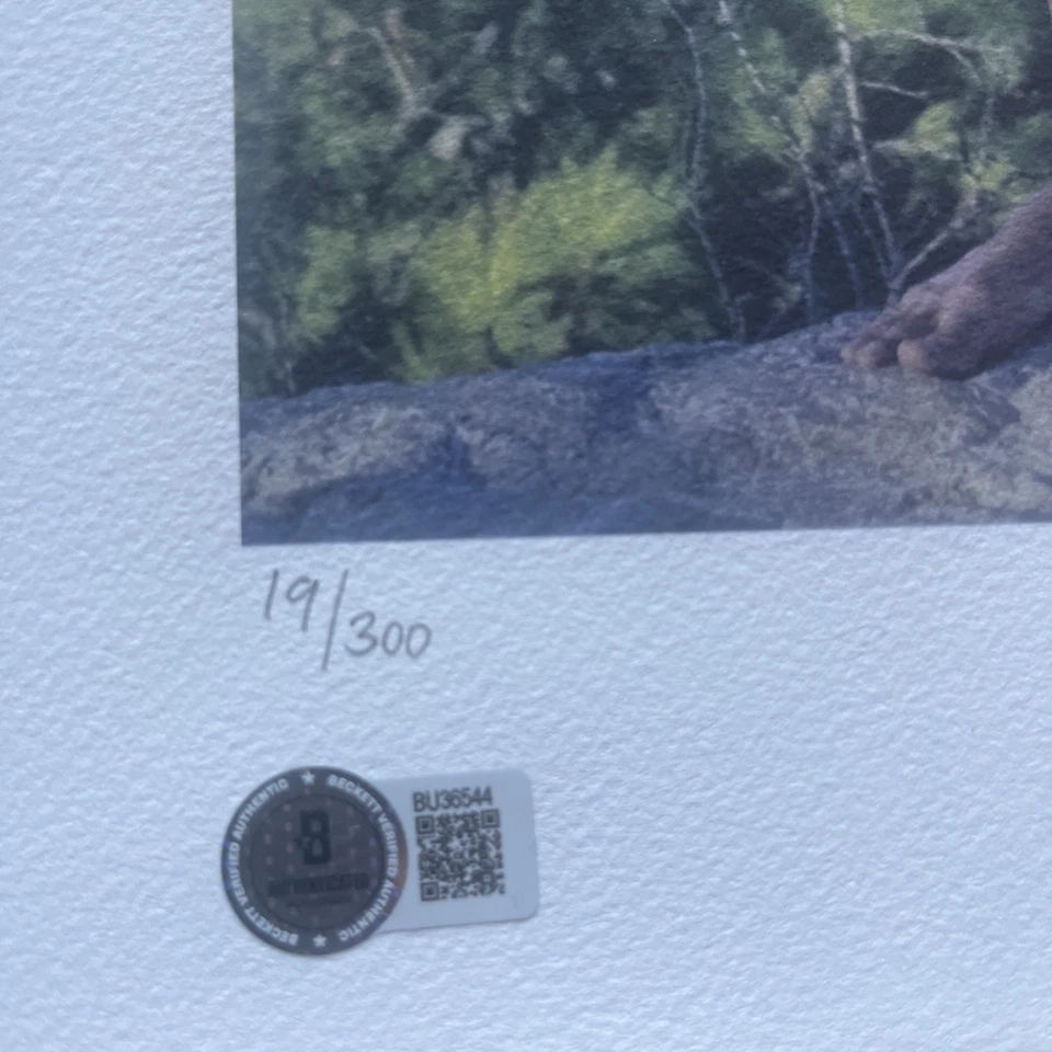 Póster litográfico autografiado firmado por Michael Phelps nadador olímpico de Estados Unidos Foto 2 de 2