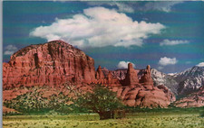 Oak Creek Canyon Arizona Scenic Postcard - Red Rock Cliffs & Desert Landscape