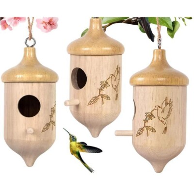 Hummingbird Nest Box Size