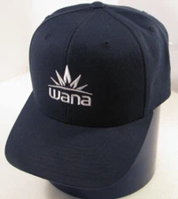 Wana Dispensary Hat Mens Blue Snapback Adjustable Cap Yupoong Classics Weed Logo