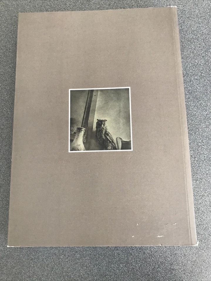 RARE OOP ART BOOK Jim Dine In Italy By Martha Boyden Paperback Clean - Image 3 of 4